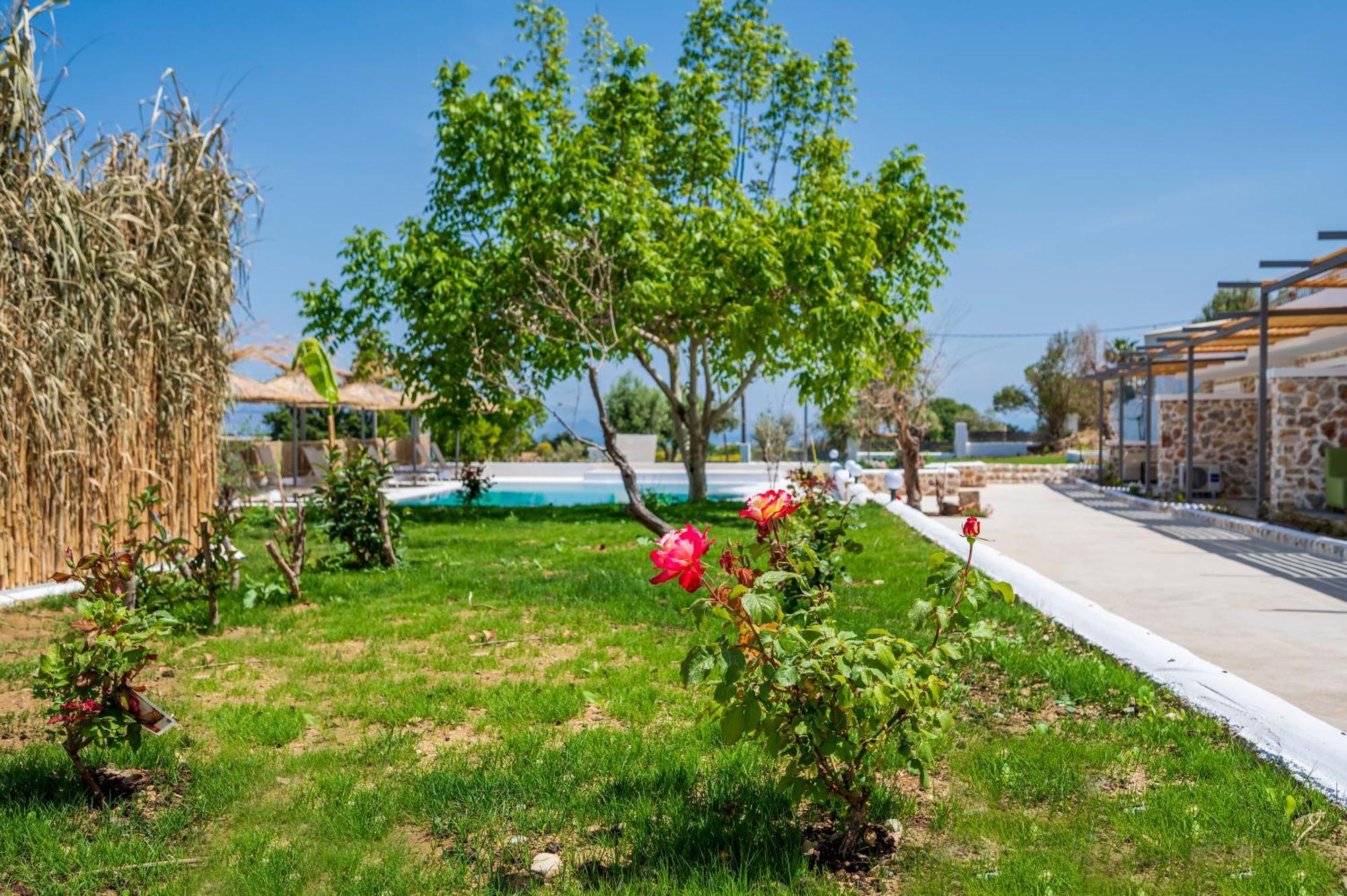 Homes Eva'S Garden, Poolside Cozy Havens In Kos Agios Dimitrios (Kos) Exterior foto